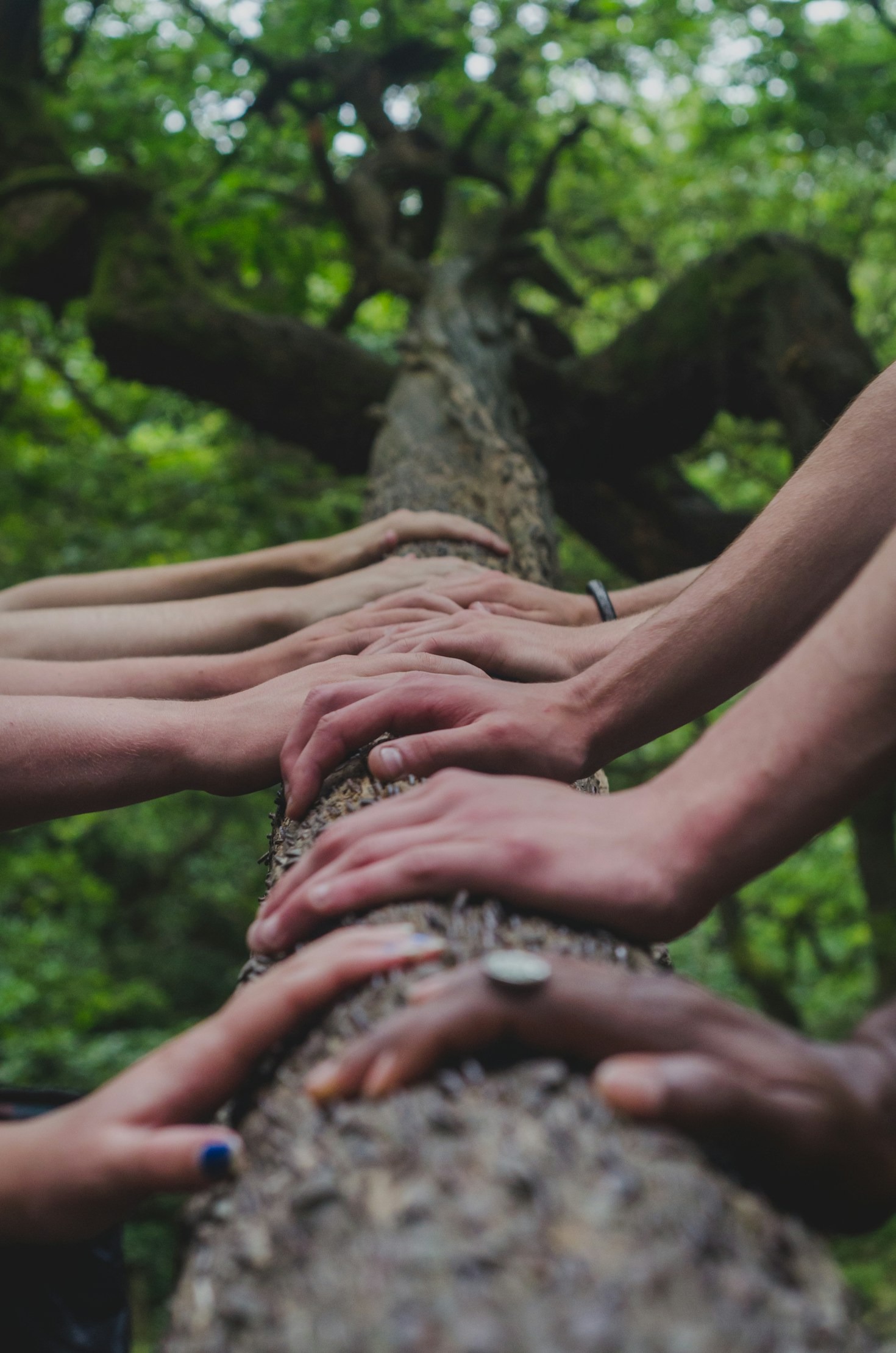 Building a Better Tomorrow with Trust Initiatives