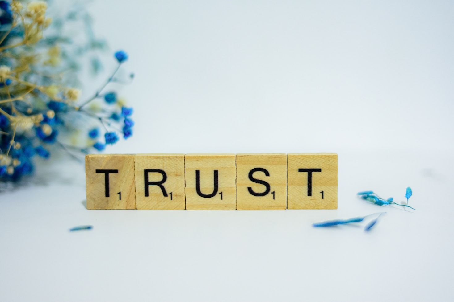 Exploring the Vision Behind The Quay Lane Trust